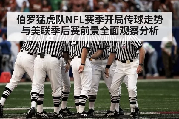 American football stadium playoff crowd